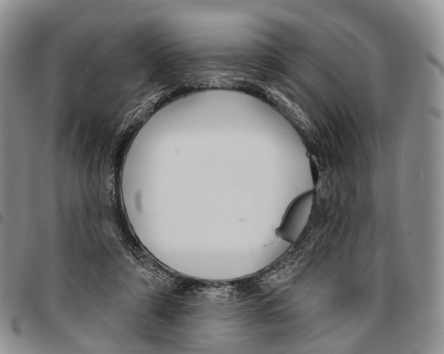 X0000096710306200803041346