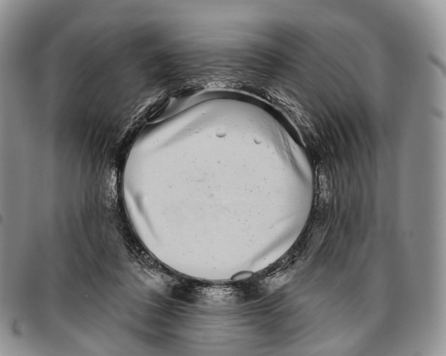 X0000096710308200803041346