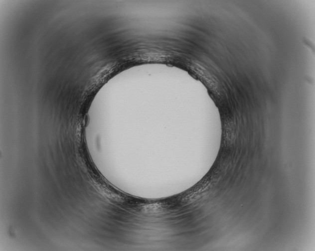 X0000096710309200803041346