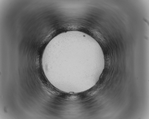 X0000096710312200803041346