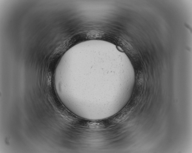 X0000096710315200803041346