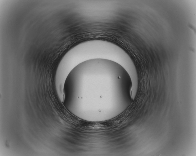 X0000096710316200803041346