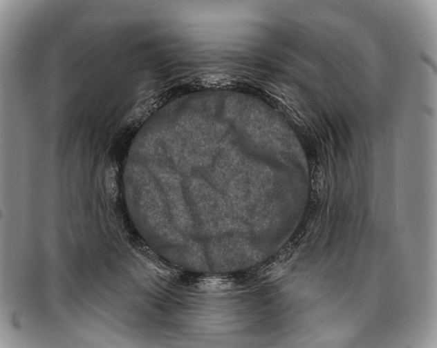 X0000096710319200803041346