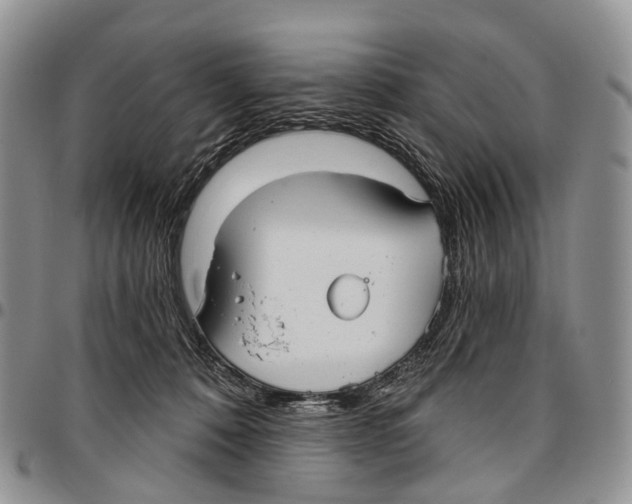 X0000096710320200803041346