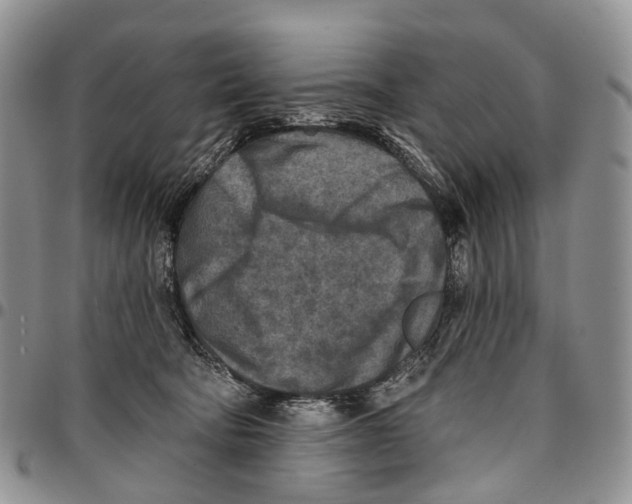 X0000096710322200803041346