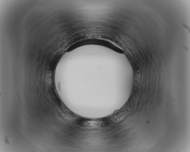 X0000096710323200803041346