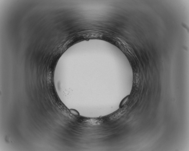 X0000096710326200803041346