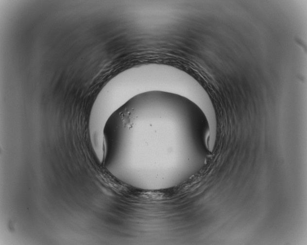 X0000096710328200803041346