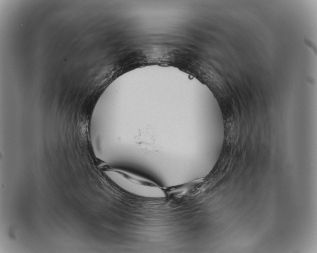 X0000096710329200803041346