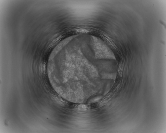 X0000096710330200803041346