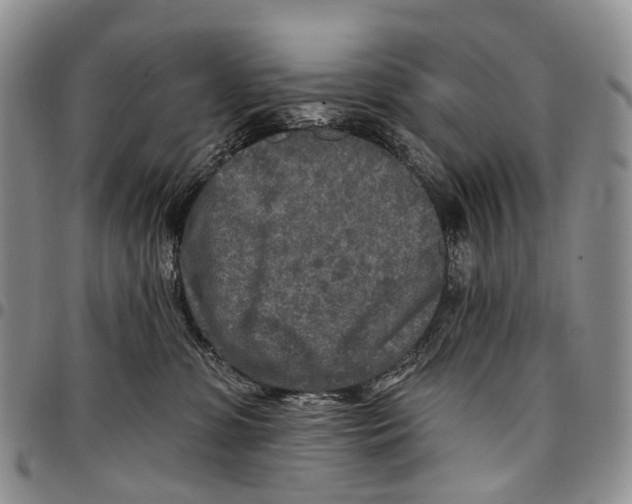 X0000096710331200803041346