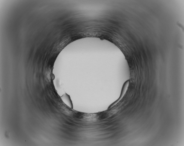 X0000096710334200803041346