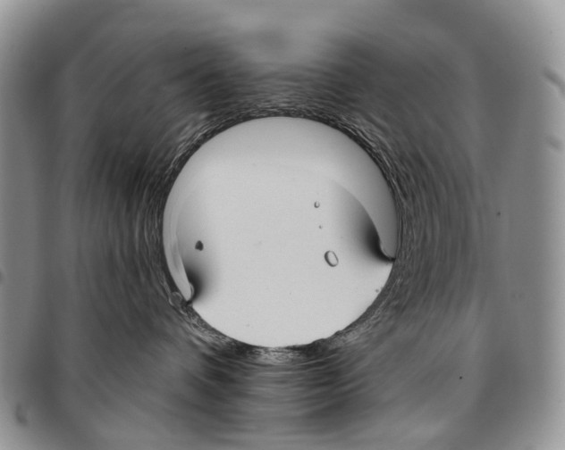 X0000096710336200803041346