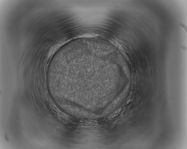 X0000096710337200803041345