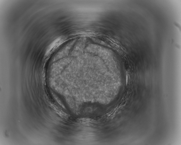 X0000096710339200803041345