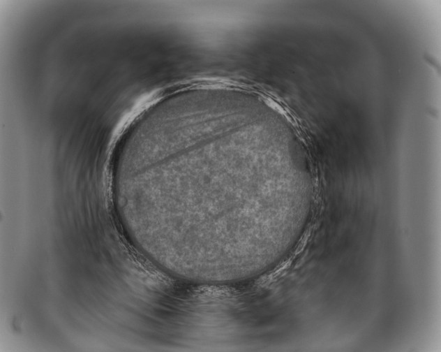 X0000096710343200803041346