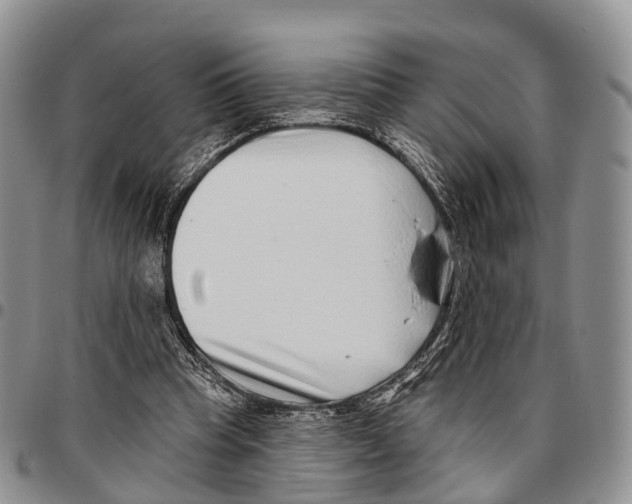 X0000096710345200803041346