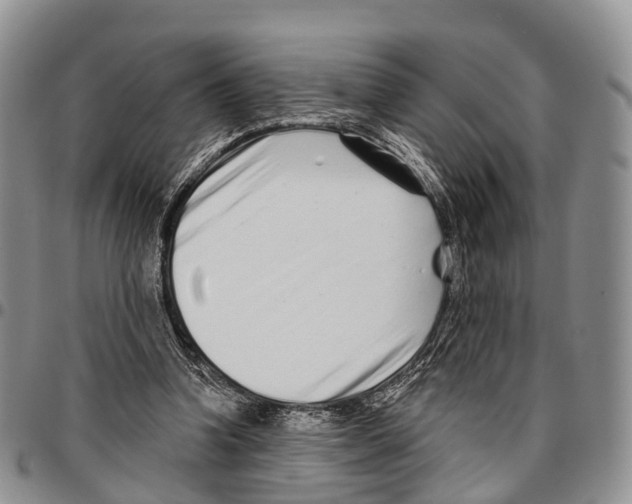 X0000096710346200803041346