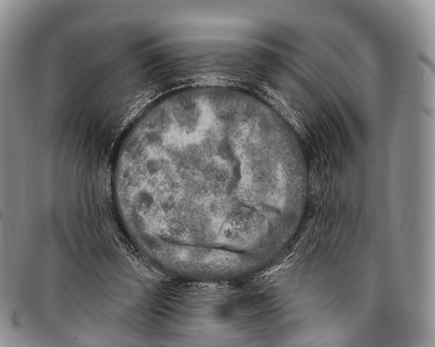 X0000096710347200803041346