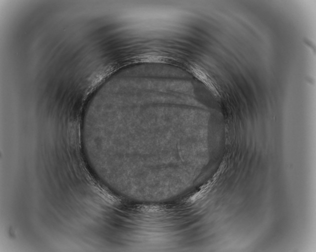 X0000096710349200803041346