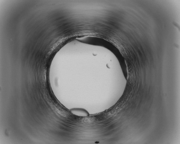 X0000096710350200803041346