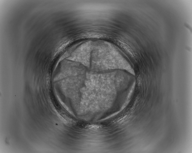 X0000096710352200803041346