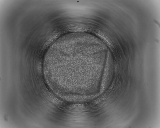 X0000096710353200803041346