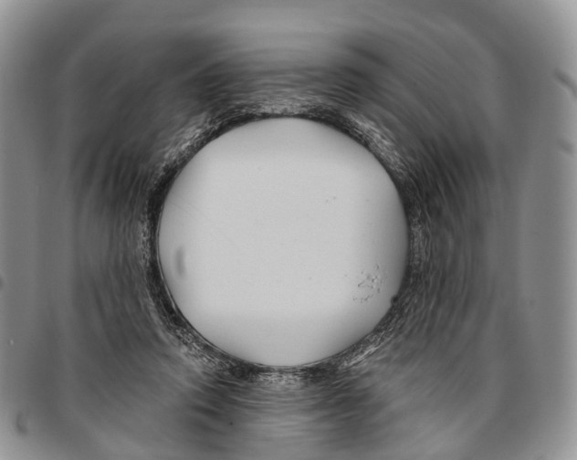 X0000096710354200803041346