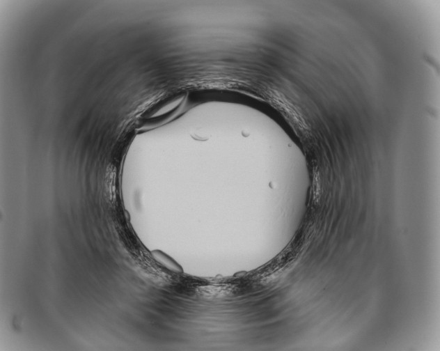 X0000096710356200803041346