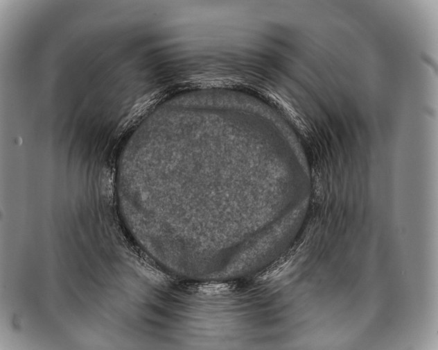 X0000096710357200803041346