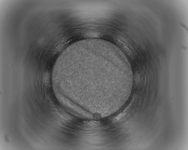 X0000096710359200803041346