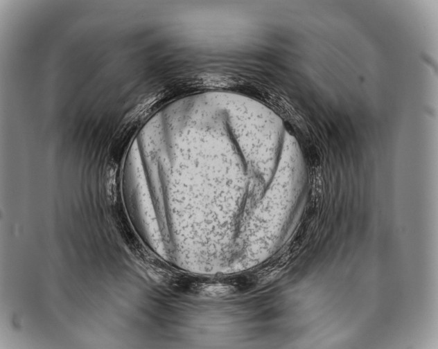 X0000096710360200803041346