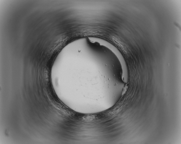 X0000096710362200803041346