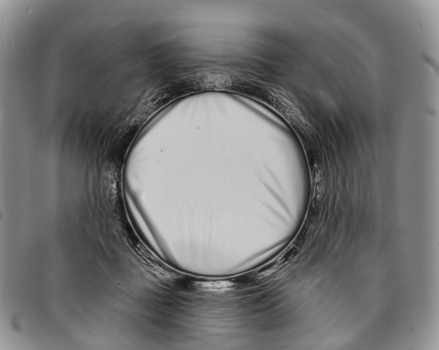 X0000096710363200803041346