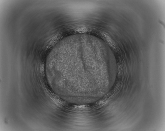 X0000096710365200803041346