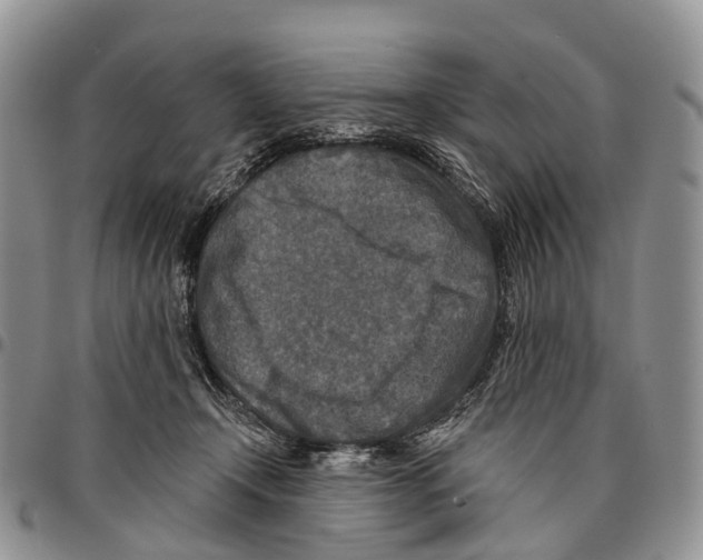 X0000096710366200803041346