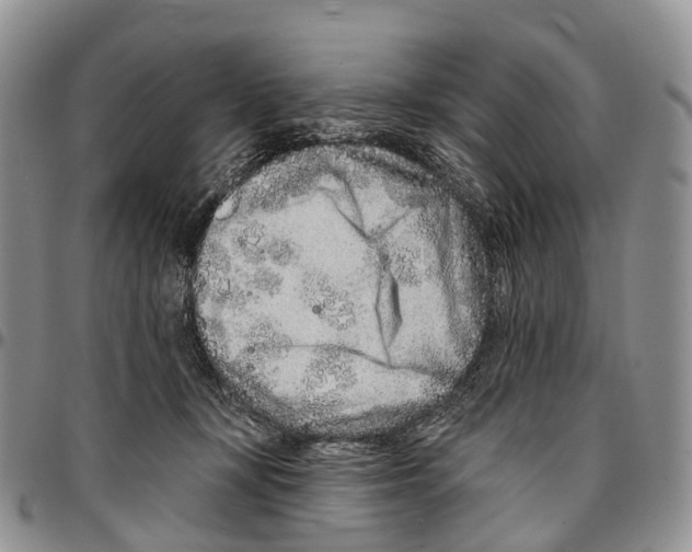 X0000096710367200803041346