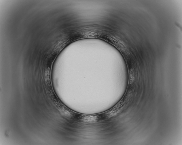 X0000096710369200803041346