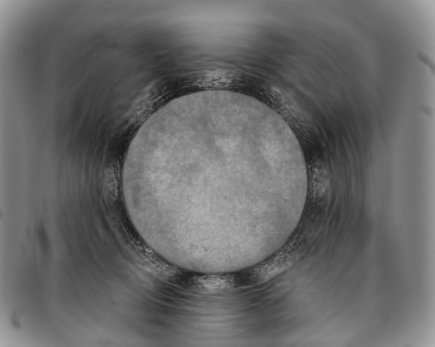 X0000096710370200803041346