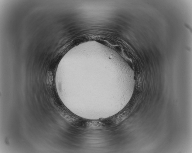 X0000096710372200803041346