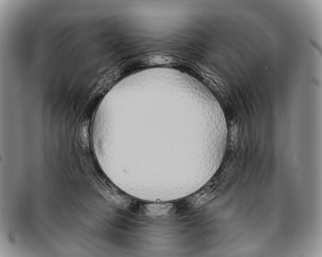 X0000096710373200803041346