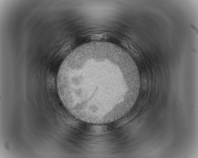 X0000096710375200803041346