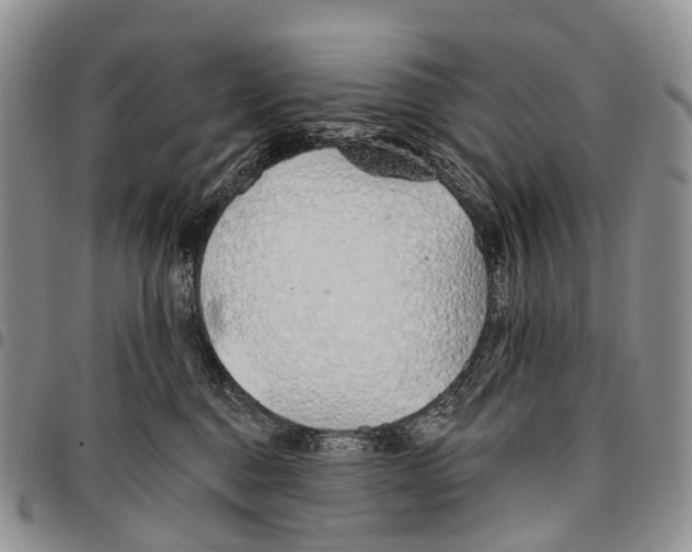 X0000096710376200803041346