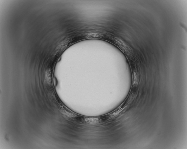 X0000096710377200803041346