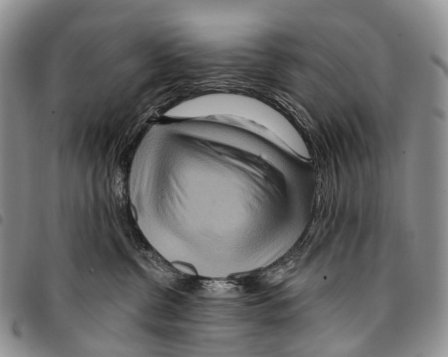 X0000096710380200803041346