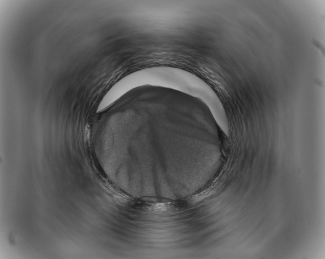 X0000096710382200803041346