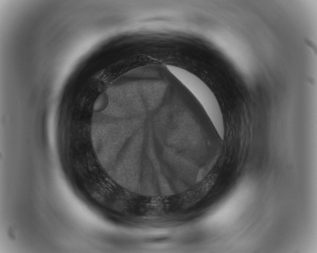 X0000096710383200803041346