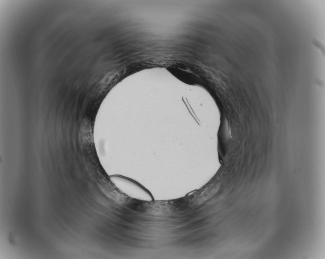 X0000096710384200803041346