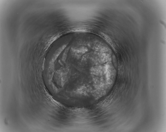 X0000096710385200803041345