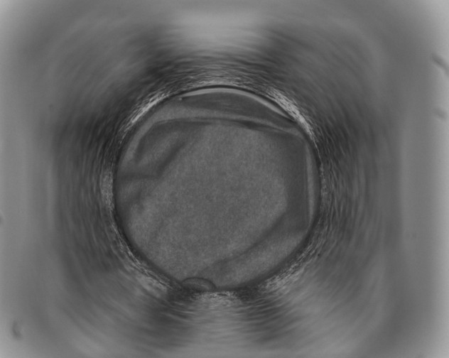 X0000096710386200803041345